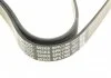 Ремень поликлин. (пр-во) DAYCO 6PK1760 (фото 4)