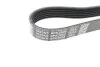Ремень поликлин. (пр-во) DAYCO 6PK2605 (фото 2)