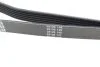 Ремень поликлин. (пр-во) DAYCO 6PK2605 (фото 3)
