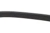 Ремень поликлин. (пр-во) DAYCO 6PK2605 (фото 4)