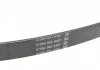 Ремень поликлин. (пр-во) DAYCO 6PK915 (фото 4)