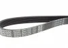 Ремень поликлин. (пр-во) DAYCO 6PK1025 (фото 3)