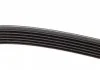 Ремень поликлин. (пр-во) DAYCO 6PK1025 (фото 4)
