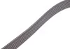 Доріжковий пас CONTITECH 6PK1004EXTRA (фото 3)