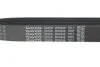 Ремень поликлиновый (пр-во) DAYCO 8PK848 (фото 4)