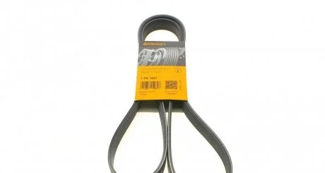 Доріжковий пас CONTITECH 7PK1647