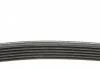 Доріжковий пас DAYCO 6PK1755 (фото 3)