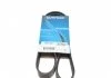 Ремень поликлин. (пр-во) DAYCO 6PK1105 (фото 1)