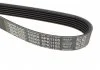 Ремень поликлин. (пр-во) DAYCO 6PK1105 (фото 4)