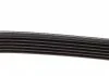 Ремень поликлин. (пр-во) DAYCO 6PK1105 (фото 5)