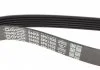 Ремень поликлин. (пр-во) DAYCO 6PK1635 (фото 4)