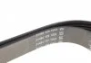 Ремень поликлин. (пр-во) DAYCO 6PK1635 (фото 5)