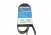 Ремень поликлин. (пр-во) DAYCO 6PK1145 (фото 1)