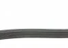 Ремень поликлин. (пр-во) DAYCO 6PK1145 (фото 3)