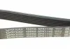 Ремень поликлин. (пр-во) DAYCO 6PK1145 (фото 5)