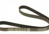 Ремень поликлин. (пр-во) DAYCO 6PK1145 (фото 6)