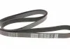 Ремень поликлин. (пр-во) DAYCO 6PK1805 (фото 3)