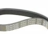 Ремень поликлин. (пр-во) DAYCO 5PK890 (фото 7)
