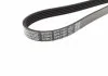 Ремень поликлин. (пр-во) DAYCO 5PK1450 (фото 4)