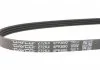 Ремень поликлиновый (пр-во) DAYCO 4PK690 (фото 4)
