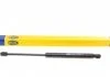 Амортизатор кришки багажника MAGNETI MARELLI 430719090300 (фото 1)