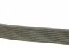 Доріжковий пас DAYCO 8PK1420HD (фото 3)