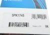 Ремень поликлиновый (пр-во) DAYCO 5PK1745 (фото 7)