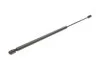 Амортизатор кришки багажника MAGNETI MARELLI 430719013600 (фото 6)