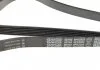 Ремень поликлиновый (пр-во) DAYCO 6PK2203 (фото 3)