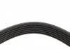 Ремень поликлиновый (пр-во) DAYCO 6PK2203 (фото 4)