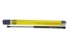 Амортизатор кришки багажника MAGNETI MARELLI 430719019300 (фото 5)