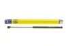 Амортизатор багажника SKODA Octavia (вир-во Magneti Marelli кор.код. GS0732) MAGNETI MARELLI 430719073200 (фото 1)