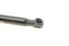 Амортизатор кришки багажника MAGNETI MARELLI 430719074600 (фото 3)