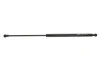 Амортизатор кришки багажника MAGNETI MARELLI 430719087400 (фото 1)