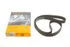 PASEK ROZRZADU CONTITECH CT1229 (фото 1)
