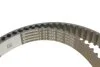 PASEK ROZRZADU CONTITECH CT1229 (фото 5)