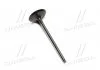Клапан впускний Toyota Land Cruiser 12- Tundra Hilux (вир-во Toyota) TOYOTA 1371131071 (фото 1)