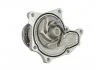 Насос охолоджуючої рідини THERMOTEC D19024TT (фото 1)