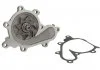 Насос охолоджуючої рідини THERMOTEC D11074TT (фото 1)