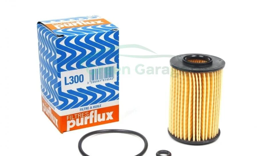 Фільтр масла PURFLUX L300 (фото 1)