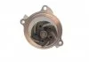 Водяной насос (вир-во Magneti Marelli кор.код. WPQ0027) MAGNETI MARELLI 352316170027 (фото 2)