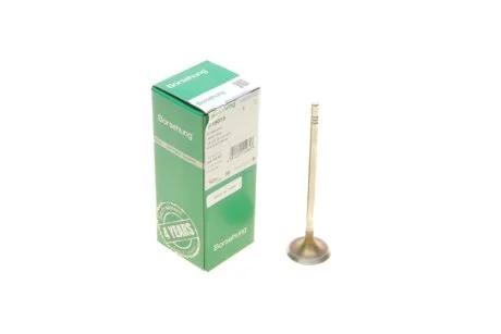 Intake valve BORSEHUNG B19015
