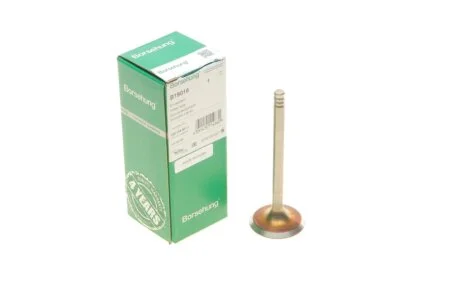 Intake valve BORSEHUNG B19016
