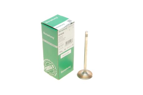Intake valve BORSEHUNG B19028