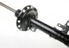Амортизатор DENCKERMANN DSB114G (фото 1)