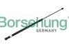 Амортизатор BORSEHUNG B14197 (фото 1)