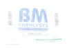Каталізатор вихлопної системи BM CATALYSTS BM91518H (фото 2)