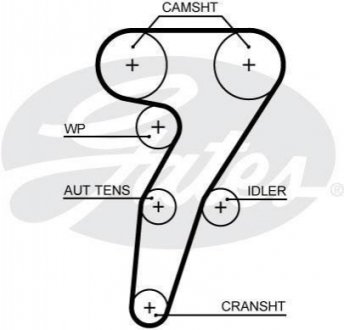Ремінь ГРМ GATES 5653XS (фото 1)