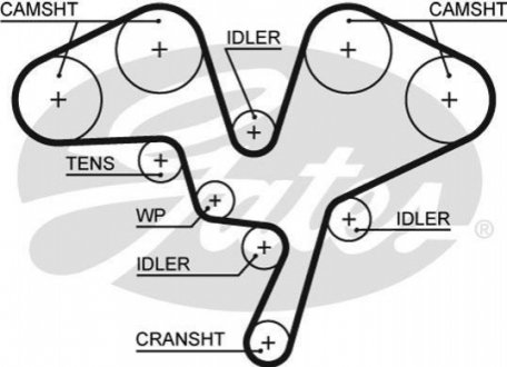 Ремінь ГРМ GATES 5602XS (фото 1)