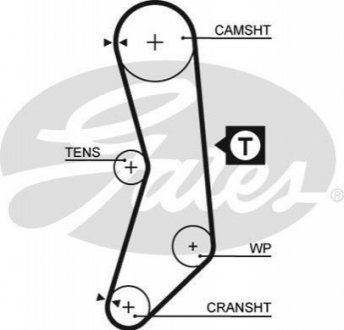 Ремінь ГРМ GATES 5544XS